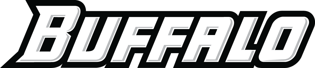 Buffalo Bulls 2007-Pres Wordmark Logo v2 DIY iron on transfer (heat transfer)
